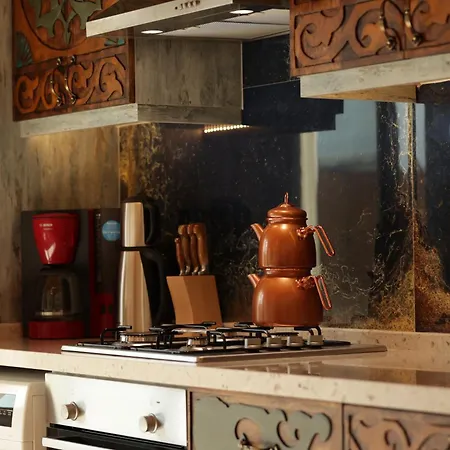 Βίλα Mugla Stone Daylight 1